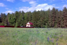 Участок, 25 сот.