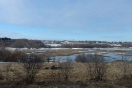 Недвижимость Земельные участки / Участок 9 сот. (СНТ, ДНП)