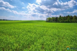 Продам землю с/х назначения, 2.64 га,                                                     Новороссийск