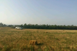 Недвижимость Земельные участки / Участок 6 сот. (ИЖС)