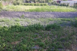 Продам дом 62.0 м² на участке 16.0 сот город Новороссийск станица Натухаевская г. о. Новороссийск