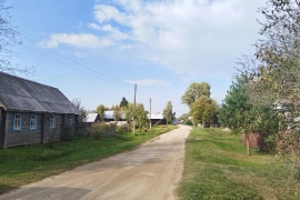 Дом в деревне Тыново