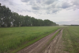 Липецкий бульвар